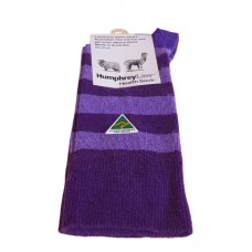 Merino & Alpaca Wool Purple Stripe Socks | Humphrey Law